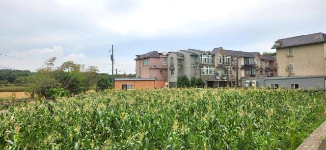 新竹新豐農地-12