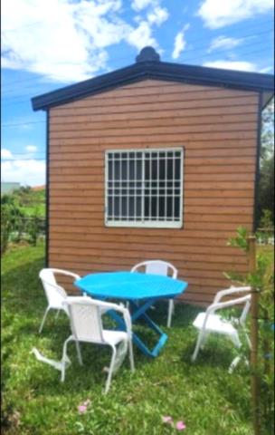 新竹新豐農地-4