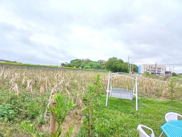 新竹新豐農地-4