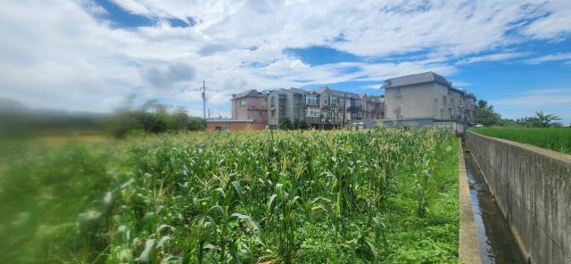 新竹新豐農地-6