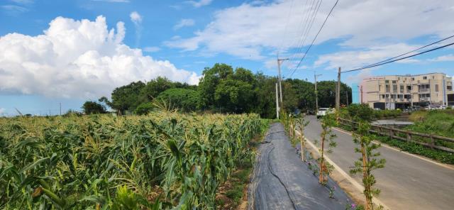 新竹新豐農地-9