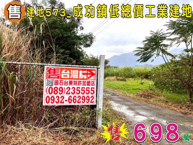 台東成功建地-2