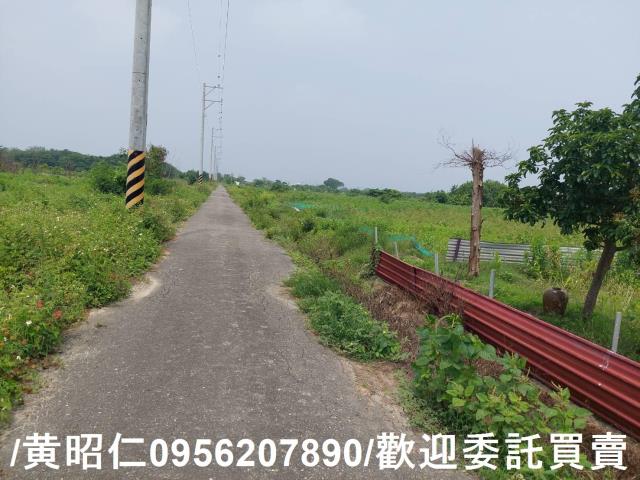 台南七股農地-5