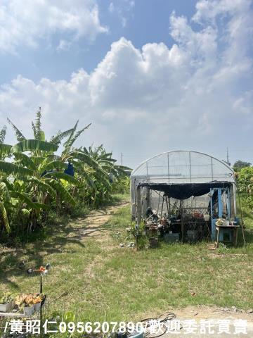 台南將軍農地-12