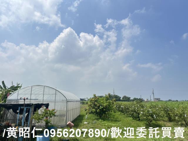 台南將軍農地-4