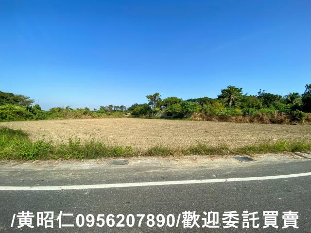 台南新化農地-1