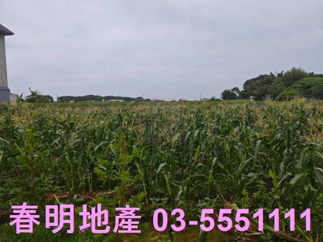 新竹新豐農地-6