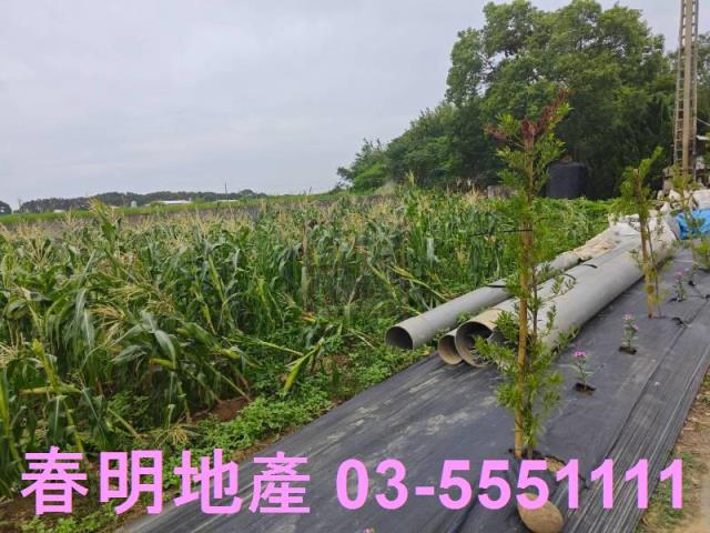 新竹新豐農地-8