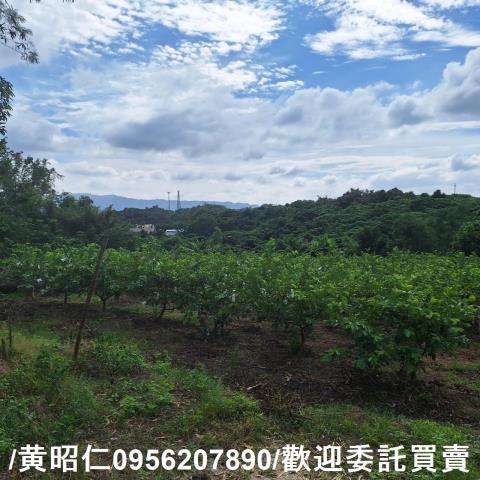 台南玉井建地-5