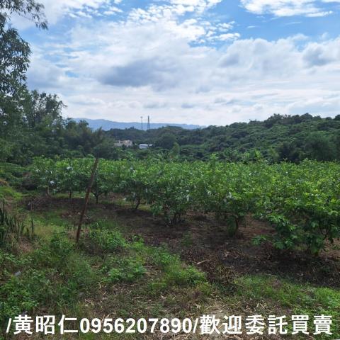 台南玉井建地-6