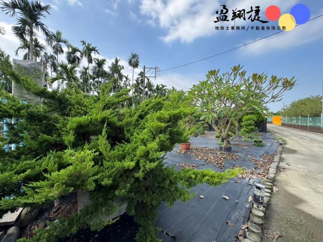 屏東農地-3