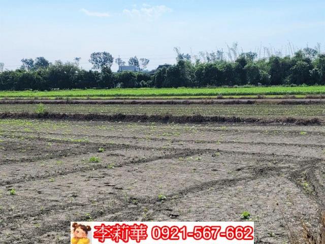 台南農地-7