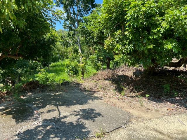 台南南化農地-11