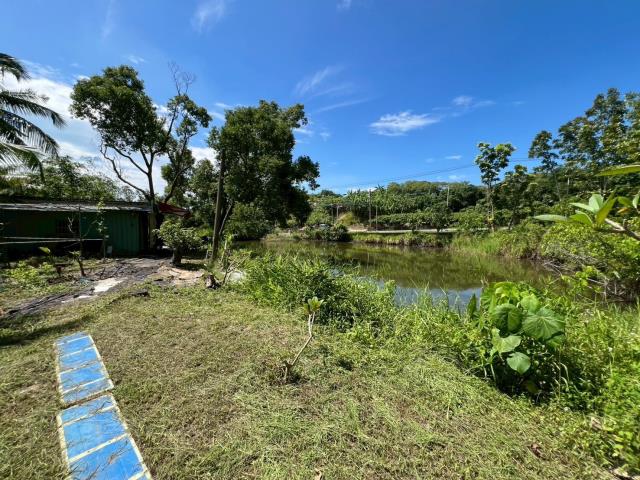 台南南化農地-2