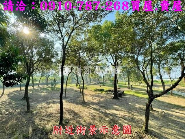 台南楠西農地-10