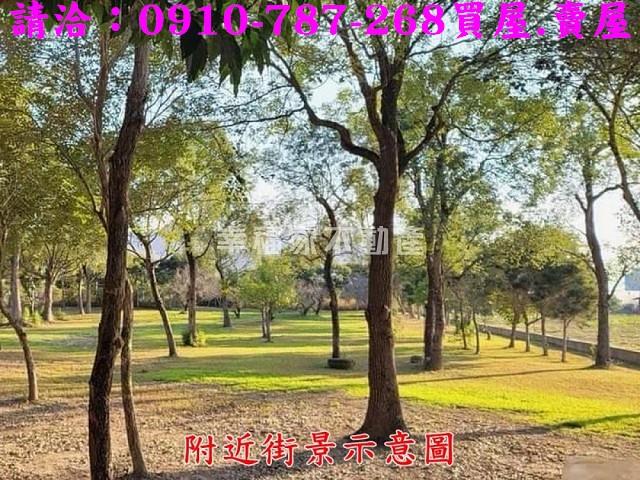 台南楠西農地-11