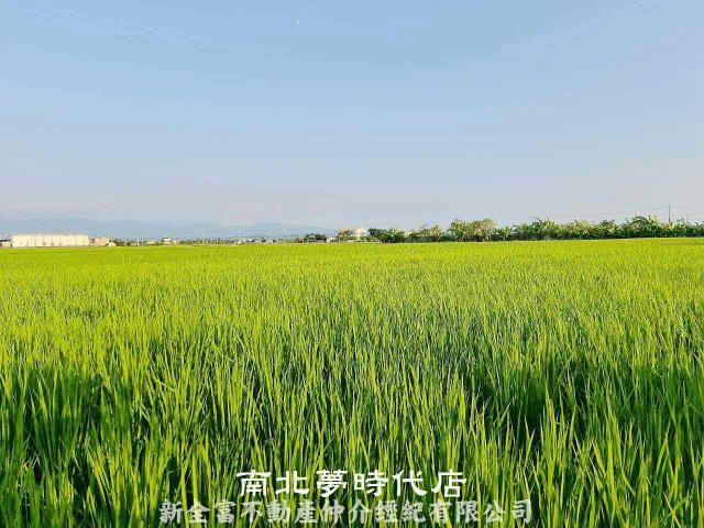 後壁農地-1