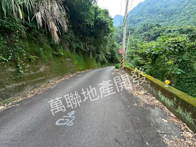 台中山坡地保育區林業-3