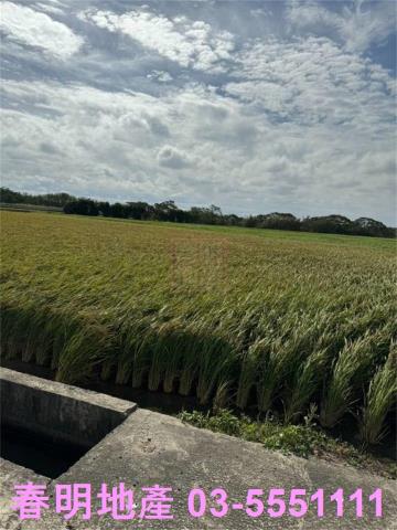 新竹竹北農地-1