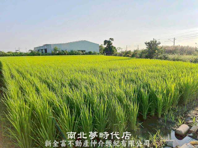 台南柳營農地-2
