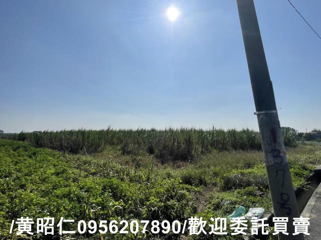 台南西港農地-3