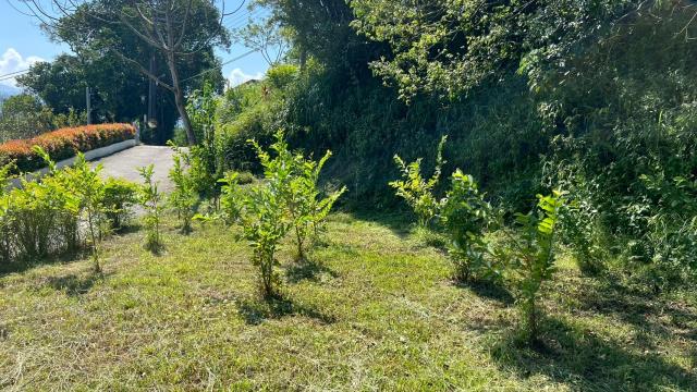 新竹橫山農地-10