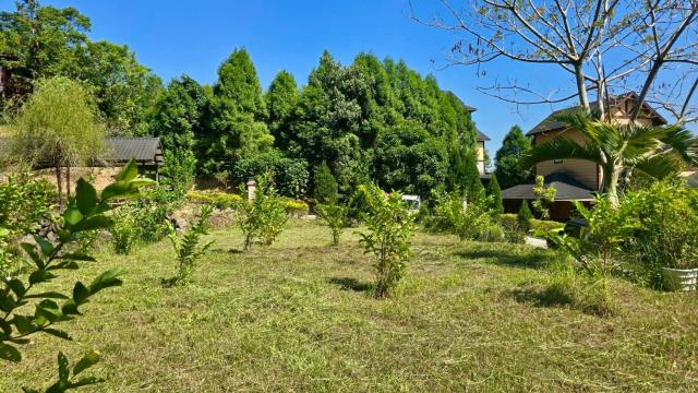 新竹橫山農地-2