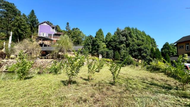 新竹橫山農地-6