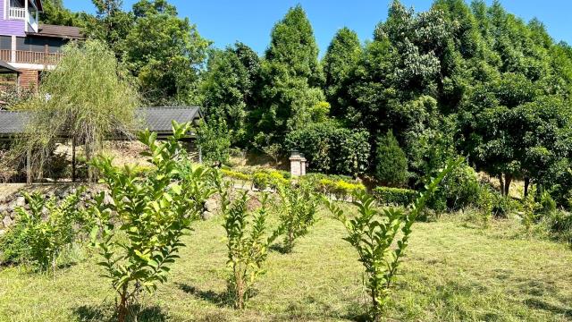 新竹橫山農地-7