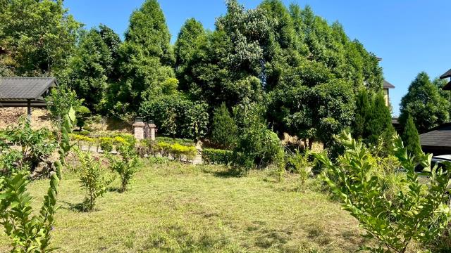 新竹橫山農地-8