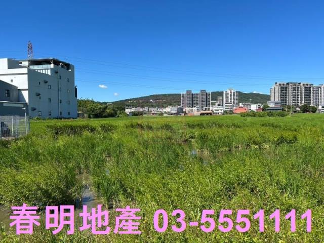 新埔農地-10