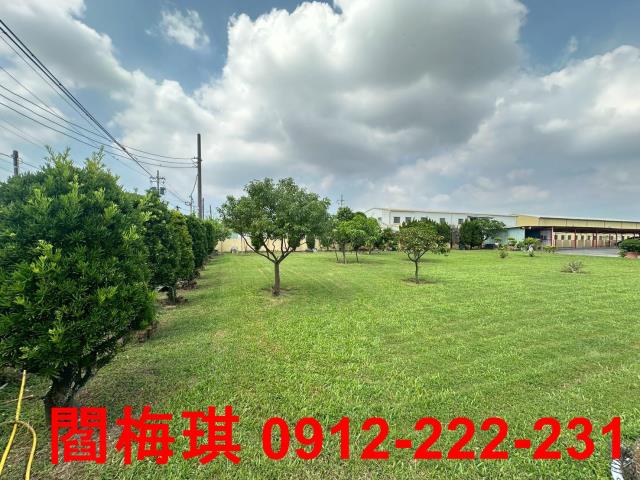 歸仁農地-2
