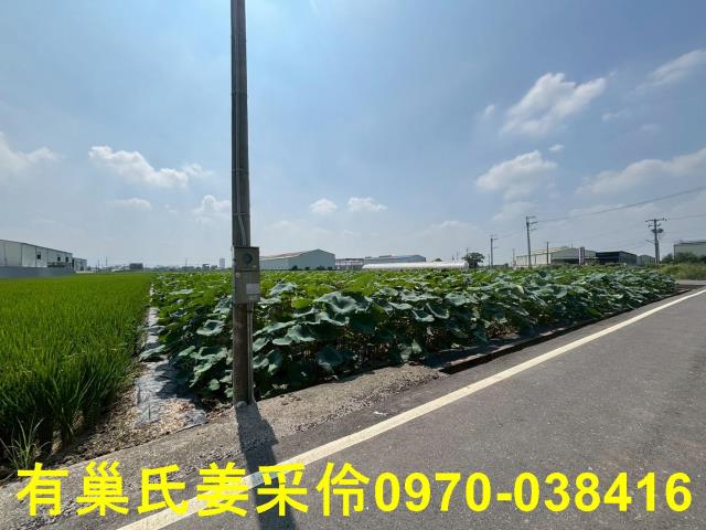 民雄農地-10