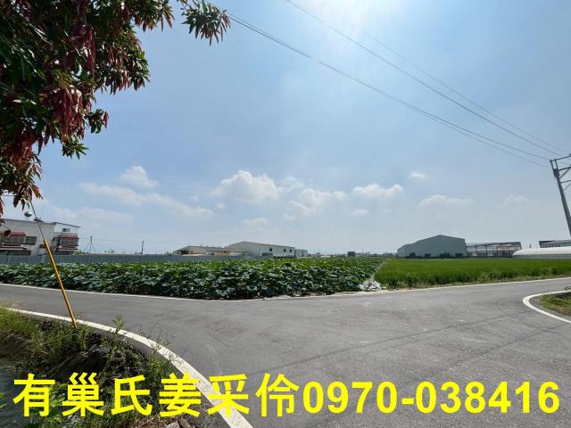 民雄農地-7