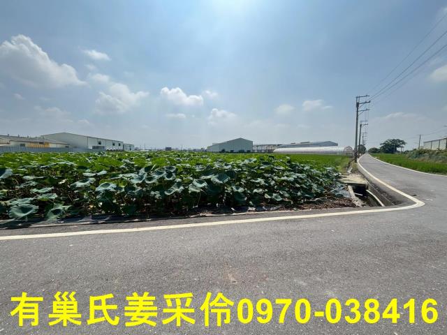民雄農地-9
