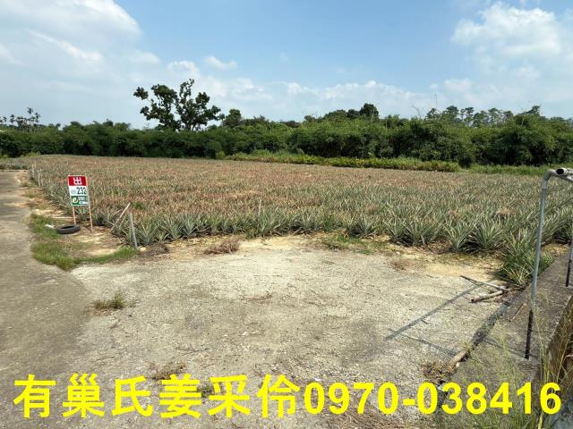 民雄農地-3