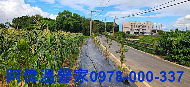 新竹新豐農地-3