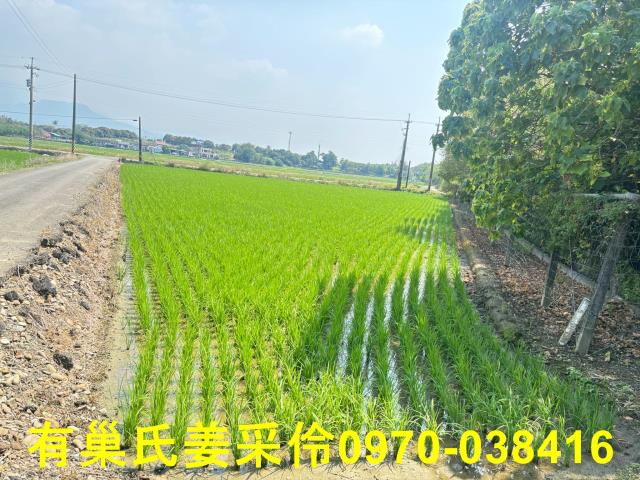 台南白河農地-7