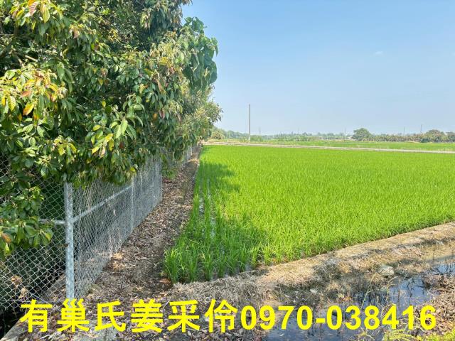 台南白河農地-9