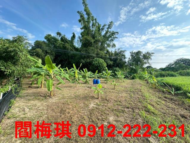 台南關廟農地-1