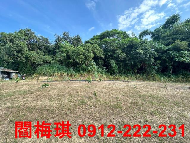 台南關廟農地-2