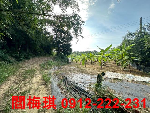 台南關廟農地-7