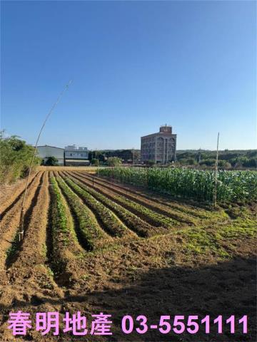 新豐農地-2