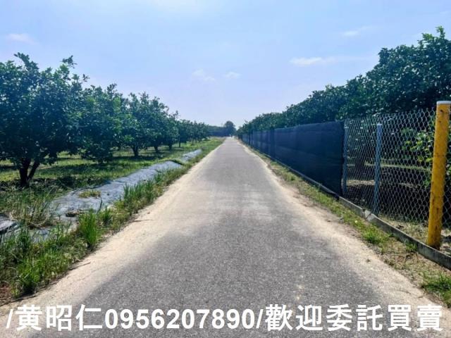 台南麻豆農地-2