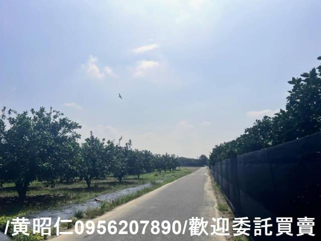 台南麻豆農地-4