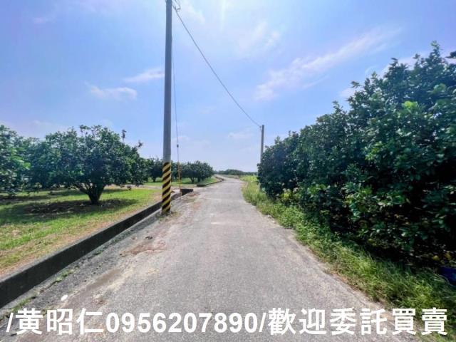 台南麻豆農地-5