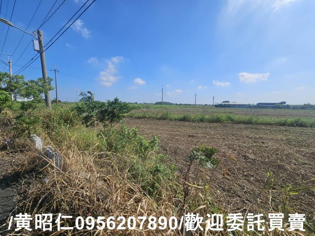 台南七股農地-4