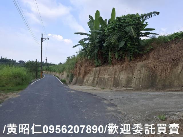 台南山上農地-9