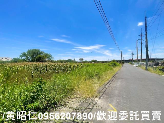 台南安定農地-8