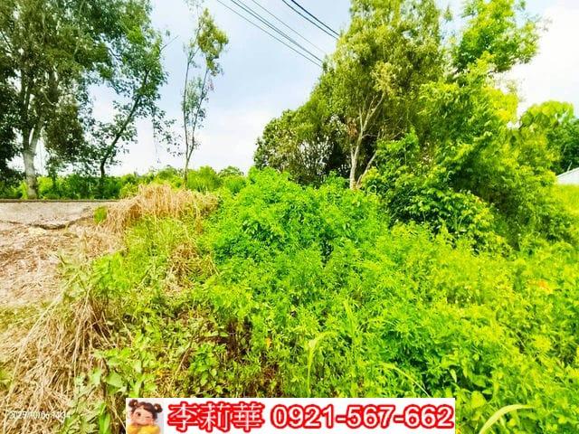 台南白河農地-10